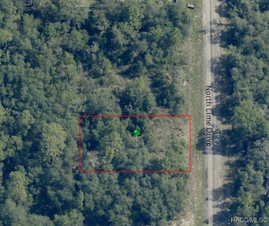 7164 N Lime Dr, Citrus Springs, FL 34433 - photo 4