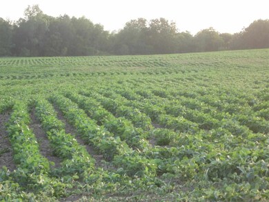 N1856 W Indies Rd, Browntown, WI 53522 - photo 6