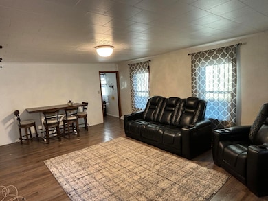 1019 W 7th Ave, Mitchell, SD 57301 - photo 5