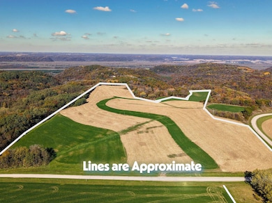 61+/-AC County Road M, Boscobel, WI 53805 - photo 2