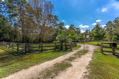 23810 Nichols Sawmill Rd, Hockley, TX 77447 - photo 4