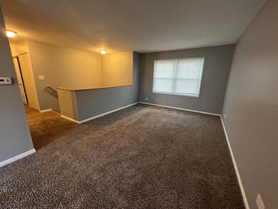 18845 Willow Ct, Country Club Hills, IL 60478 - photo 3