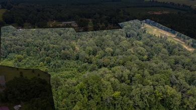 View of property location with a forest