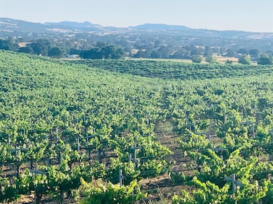 4860 Camp 8 Rd, Paso Robles, CA 93446 - photo 2