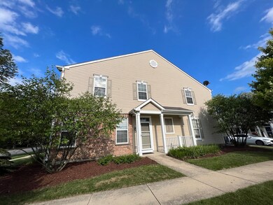 224 Springbrook Trail S unit 3, Oswego, IL 60543 - photo 2