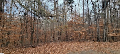 00 Gum Ct, Westminster, SC 29693 - photo 3