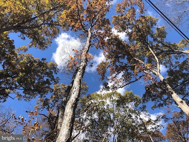 0 Cliff Ln, Bluemont, VA 20135 - photo 4