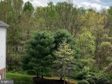 6516 Ridenour Way E unit 3A, Sykesville, MD 21784 - photo 3