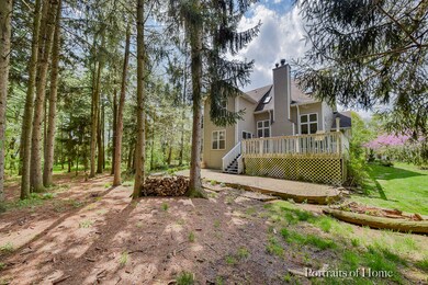 Wooded Yard