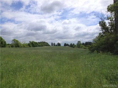 Other Land
