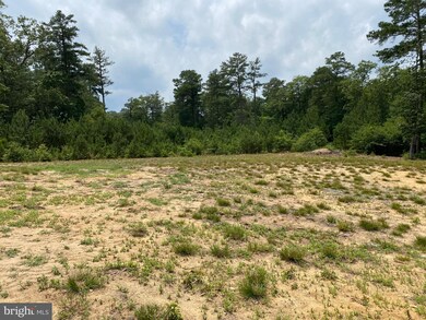 30822 White Cypress Cove, Laurel, DE 19956 - photo 4