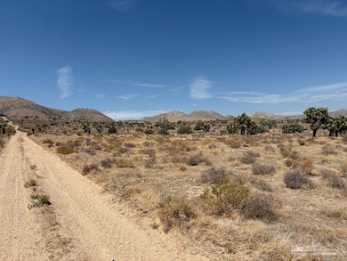 0 Tehachapi Willow Springs Rd, Mojave, CA 93501 - photo 3