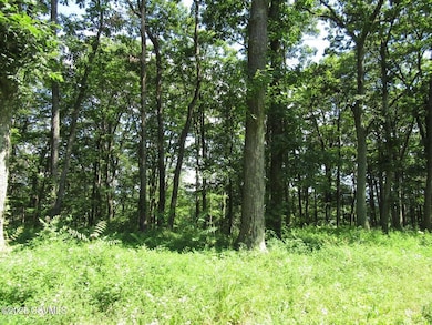 171 Evergreen Ln, Catawissa, PA 17820 - photo 7