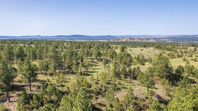 26771 Elk Run Rd, West Custer, SD 57747 - photo 5