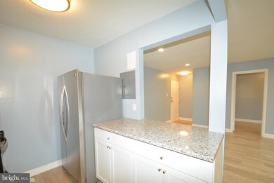 5201 Newton St unit T-3, Bladensburg, MD 20710 - photo 5