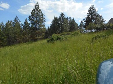 3710 W Crandall Ln, Spokane, WA 99208 - photo 3