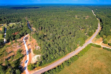 6345 Cobbham Rd, Appling, GA 30802 - photo 3