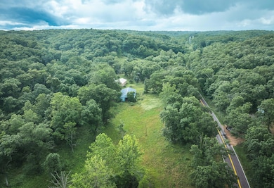 DJI_20250613150644_0242_D
