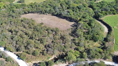 000 Bee Creek Rd, Grandview, TX 76050 - photo 6