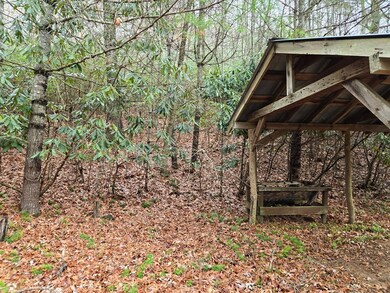 unlisted-address, Tuckasegee, NC 28783 - photo 4