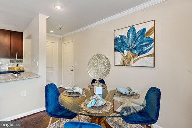 2602 Squaw Valley Ct unit 12, Silver Spring, MD 20906 - photo 4