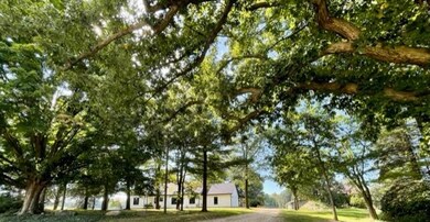 2260 Allen Rd pic1.jpg38