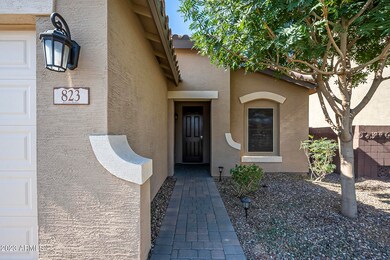 823 Leadwood Ave, San Tan Valley, AZ 85140 - photo 3