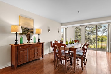 5020 Arbor Ln unit 203, Northfield, IL 60093 - photo 7