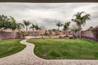 4 Back Yard