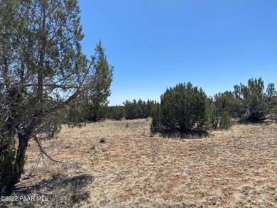 53128/78 N Cloudcroft Way, Seligman, AZ 86337 - photo 2