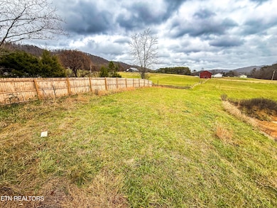 2015 Tater Valley Rd, Washburn, TN 37888 - photo 4