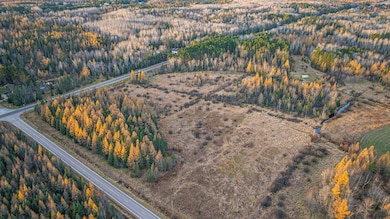 TBD Hwy 21, Babbitt, MN 55706 - photo 4