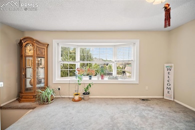 4202 Halstead Cir, Colorado Springs, CO 80916 - photo 5