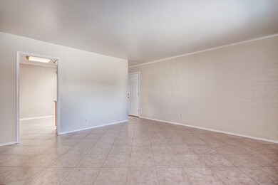 Thunderbird - 12021 (4)