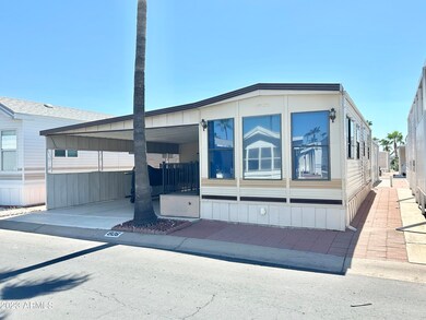 NORTH FACING