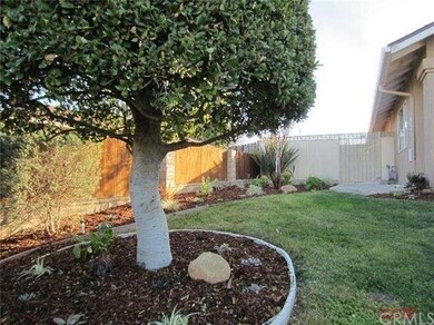 Small oak tree perfectly groomed in this low maint