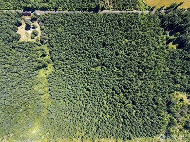 0 Kiser Rd unit 24178603, Ethel, WA 98542 - photo 5