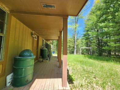 Parcel S McCollum Lk Rd, Curran, MI 48728 - photo 6