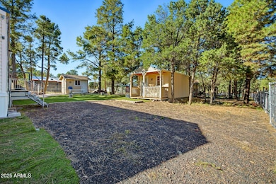 2169 Tenderfoot Trail, Overgaard, AZ 85933 - photo 2