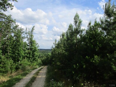 0 Dyestone Ridge Ln, Gladstone, VA 24553 - photo 4