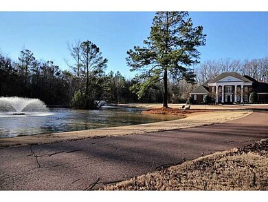 Pond with Water Features!