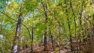 Rocky Branch Land for Sale in South Caro