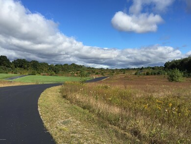 0 Anthony Way Tract 12 unit 16031614, Niles, MI 49120 - photo 7
