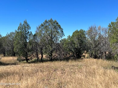 S2 196 Un Named Rd, Ash Fork, AZ 86320 - photo 6