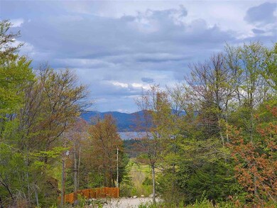 62 Knox Mountain Rd unit map 75 lot 43, Ossipee, NH 03814 - photo 4