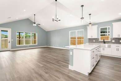 705 Cirrus Ln, Fredericksburg, TX 78624 - photo 4