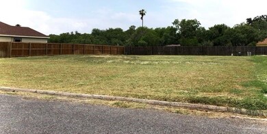 924 Chrysolite Dr, Weslaco, TX 78596 - photo 2