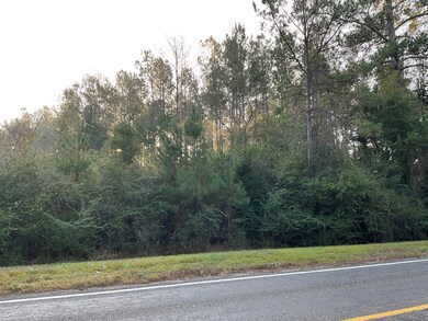 000 Highway 92, Spurger, TX 77660 - photo 5