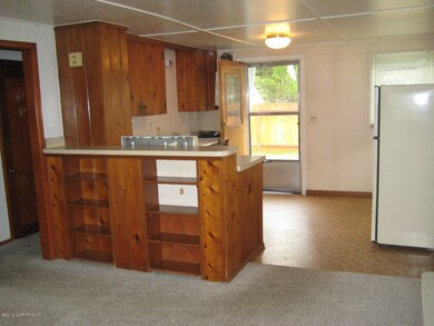 Refrigerator & Built in shelves