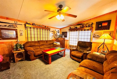 Carpeted living room with a wainscoted wall, woode